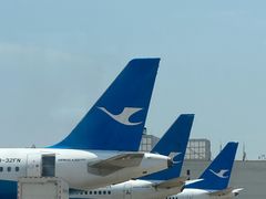 -厦门高崎国际机场-T3航站楼