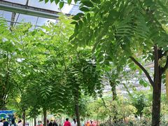 -南宫五洲植物乐园