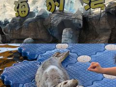 -华夏文旅海洋公园