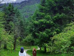 -硗碛藏寨·神木垒景区