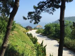 -大长山岛