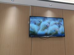 -梅利汴京烤鸭•开封豫菜地标店(东司门店)