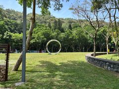 -银湖山郊野公园-相思林