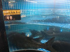 -千岛湖小鱼儿·淳安匠心农家菜