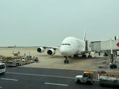 -上海浦东国际机场-T2航站楼