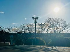 -三井奥特莱斯购物城(爵士之梦长岛店)