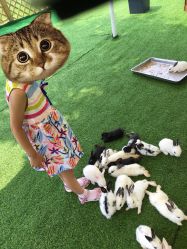 -萌宠亲子动物乐园(槐房万达店)