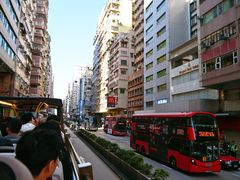 -Big Bus Tours 敞篷观光巴士