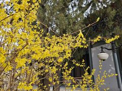 -国家图书馆·古籍馆