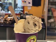 -Dooley's Premium Ice Cream