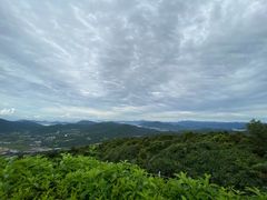 -亚龙湾热带天堂森林公园