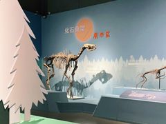 -浙江自然博物院(杭州馆)