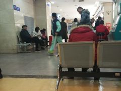 -上海市东方医院(总院)
