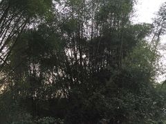 -七娘山