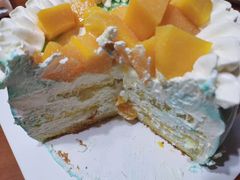 -维尔纳斯·生日蛋糕动物奶油冰淇淋蛋糕(人大店)