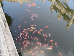 -香积寺