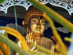 -西双版纳傣族园-曼春满佛寺