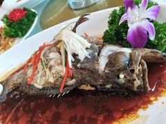 清蒸老虎斑-小贝壳酒楼(经九路店)