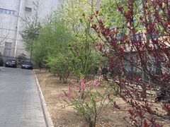 -京梟红茶楼(方恒购物中心店)