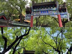 -北京国子监胡同