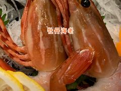 -桂马·日本料理·海胆·海鲜饭·酒场(民主广场店)