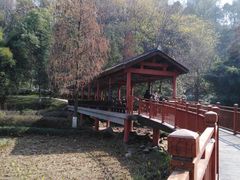 -重庆彩云湖湿地公园