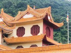 -深圳仙湖植物园