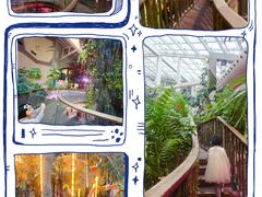 -正佳雨林生态植物园