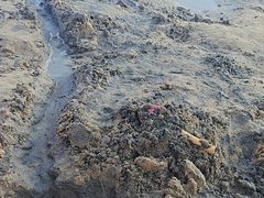 -碧海金沙