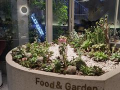 -春树下·树屋花房西餐厅(罍街AS1980店)