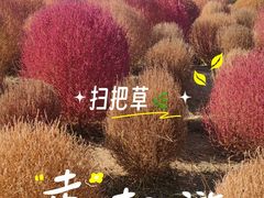 -春花秋色城市公园