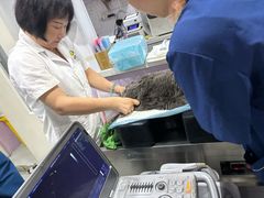 -A猫a狗全科·犬猫异宠·芥西宠物医院(南开总院)