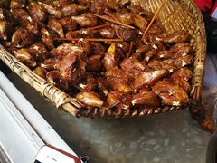 -邓氏兔头