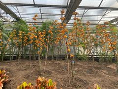 -兰陵国家农业公园