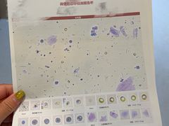 -爪吧宠物乐园·宠物泳池(温榆河示范区店)