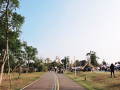 -白鹭湾湿地公园