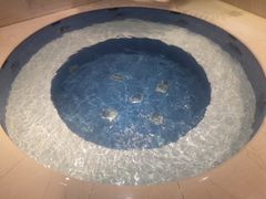 -水晶之星洗浴温泉汗蒸