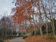 -习家池