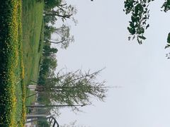 -桂溪生态公园