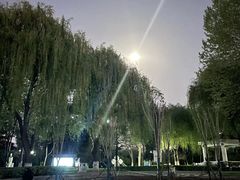 -裕华世纪公园