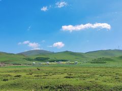-丰宁坝上草原