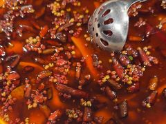 -羊门客在·烤盐池滩羊·川菜