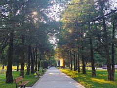 -西北农林科技大学(北校区)