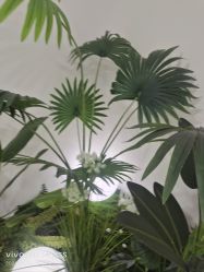 -HEYAN荷妍专业脱毛连锁机构