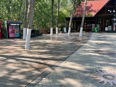 -合肥滨湖国家森林公园