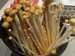 -海底捞火锅(奥森店)