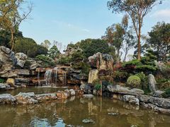 -东莞植物园