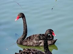 -江南大学(蠡湖校区)