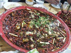 -东吴霸王兔(松青路店)