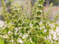 -天天渔港(杏林街店)